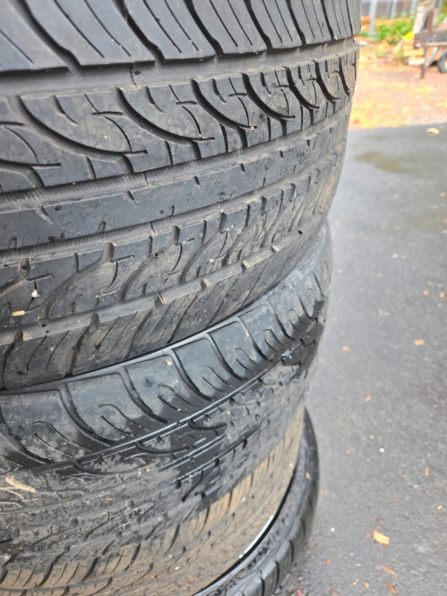 245/30/R22 Mag and tires in Tires & Rims in Bathurst - Image 4