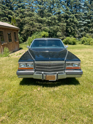 1982 Cadillac Fleetwood button seats 