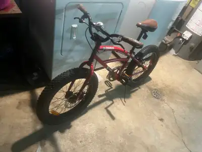 kids fat tire bike, View more