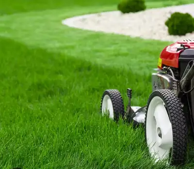 Grass Cutting & Lawn Mowing Services – Affordable & Reliable! Tired of overgrown grass or an untidy...