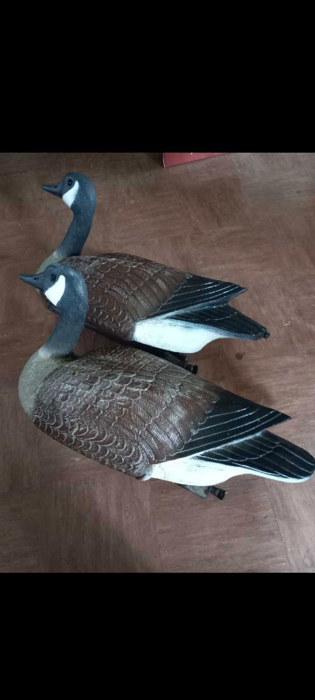 Vintage Flambeau Canadian Goose Decoys..1960s. Price for 2 in Other in Leamington