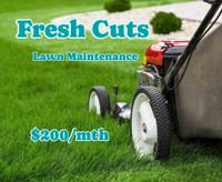 F4esh Cuts Lawn Service 
