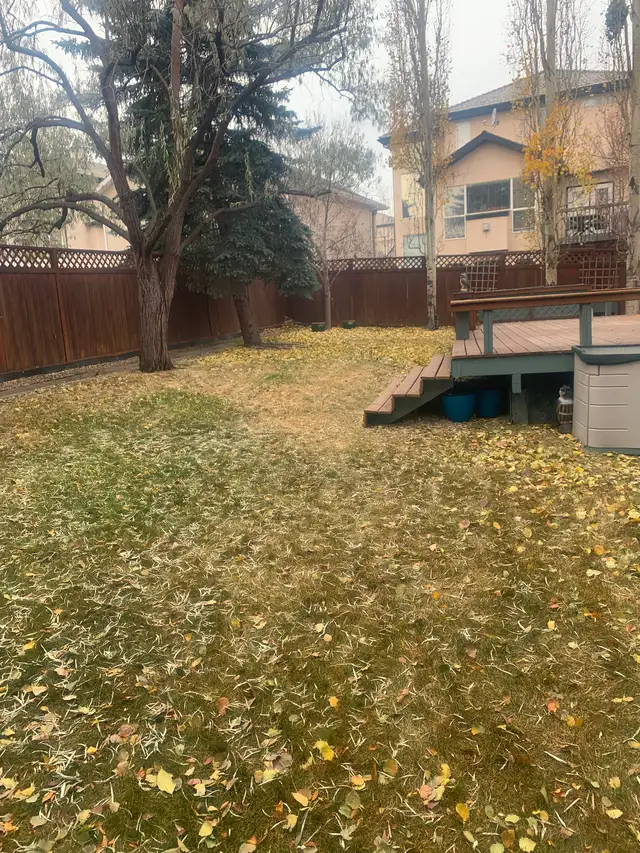Professional Fall Cleanup and Snow Removal Services591903317548093442