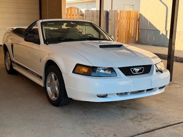2002 Ford Mustang in Cars & Trucks in Medicine Hat - Image 2