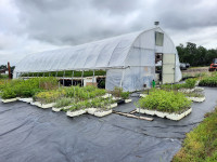 Commercial 30x60ft Greenhouse