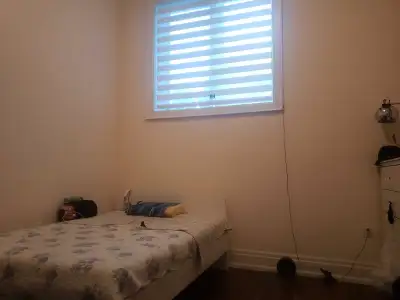Yonge & Finch Walkout basement One Spacious bedroom for rent