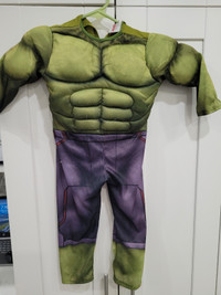 Halloween Costume de Hulk