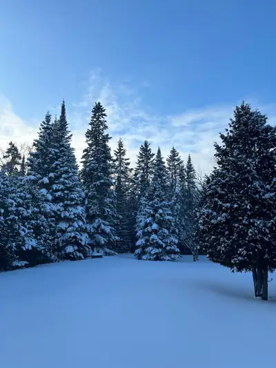 Chalet à louer- ski et télétravail
