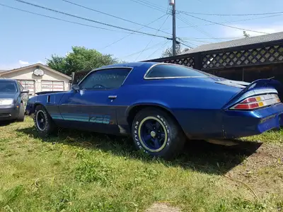 doors,fenders,hoods,trunk,bumper,