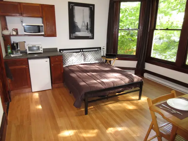 Bachelor Apartment Near Dal