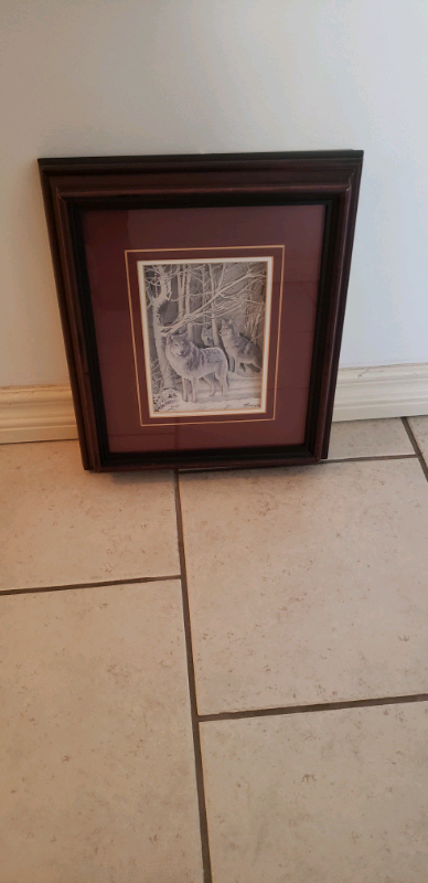   Wolves in Other in Kingston - Image 3