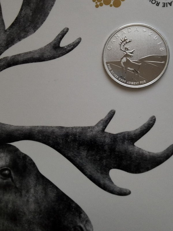 The Caribou Coin 2018 in Arts & Collectibles in London - Image 2