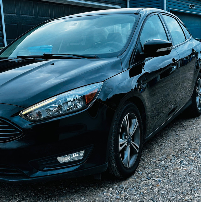 2017 Ford Focus in Cars & Trucks in Calgary - Image 3