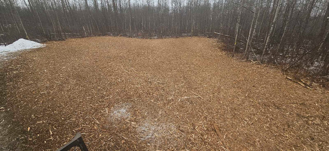 Mulching & Land Clearing in Other in Edmonton - Image 4