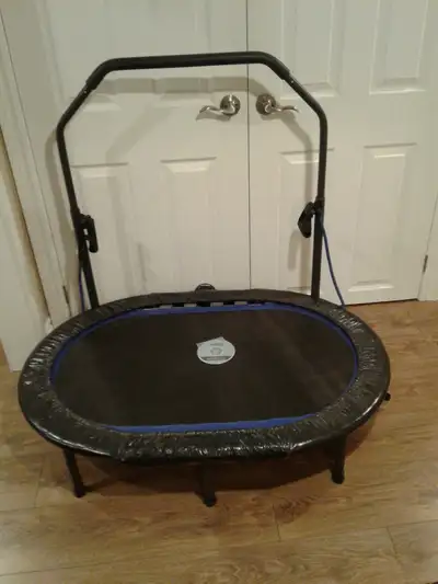 STAMINA BRAND OVAL JOGGER FOR SALE, View more