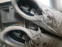 Puma Shoes
8 1/2
