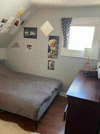 Summer sublet in South End