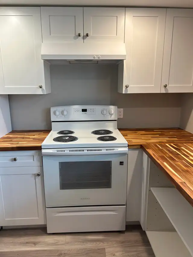 Newly Renovated, 1 Bedroom, Available Now in Long Term Rentals in Belleville - Image 5