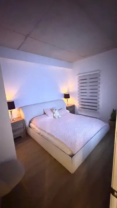 Nice 1 bedroom apartment internet appliance included main floor with patio pool ,gym ,tarrace roof ,...