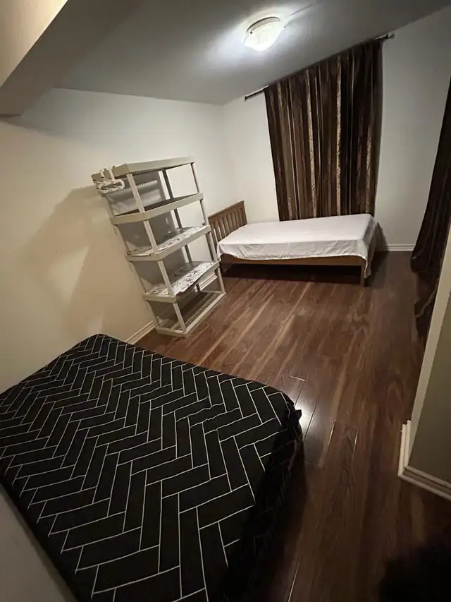 $450 FEMALE in Brampton shared studio basement63771552407299121