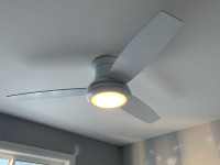 Ceiling fan/light and Remote