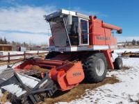 MF 8560 combine for sale