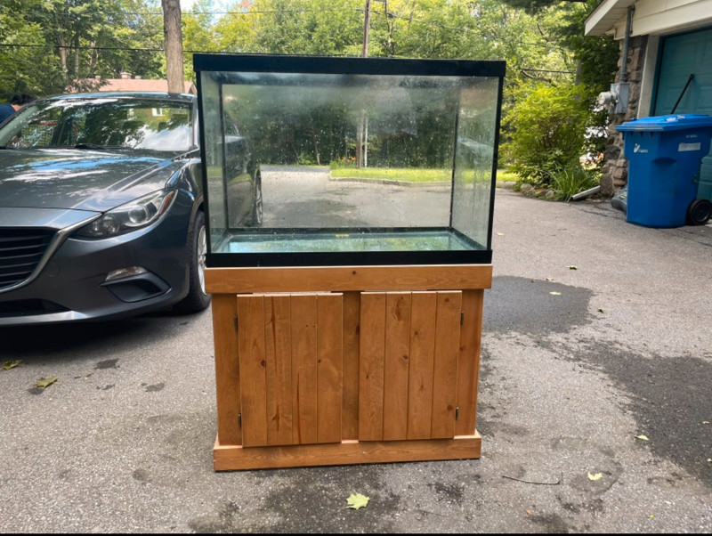 75 Gallon Tank+Stand and accessory's Poissons à adopter Ouest de l
