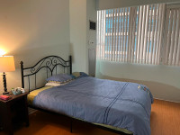 A Furnished Bedroom in Spacious Condo (Yonge/Wellesley) for Rent