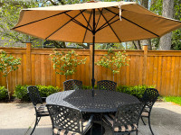 10 piece Cast Iron & Sunbrella Outdoor Patio Set