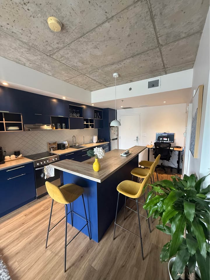 3 ½ moderne et lumineux à louer – Rosemont–La Petite-Patrie — photo 1