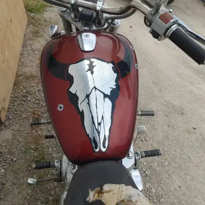 Okay... We have a project... It does run quite well... Ive went over it and changed fuel lines. Plug...