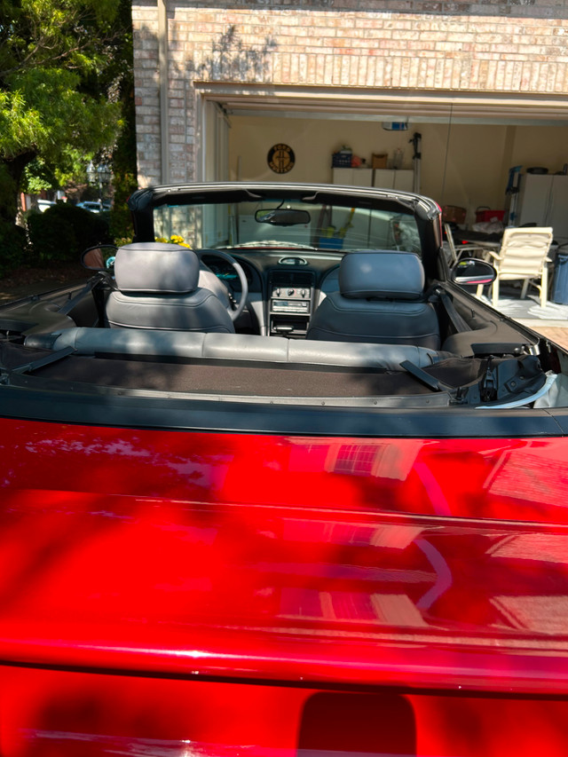 1995 Ford Mustang GT in Cars & Trucks in Windsor Region - Image 4