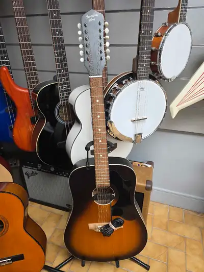 P.U、セミハードケース付き　RECORDINGKING RO-G6 used RO-G6 — Recording King