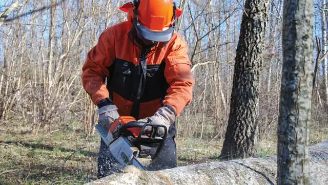 Chainsaw Safe Handling & Maintenance