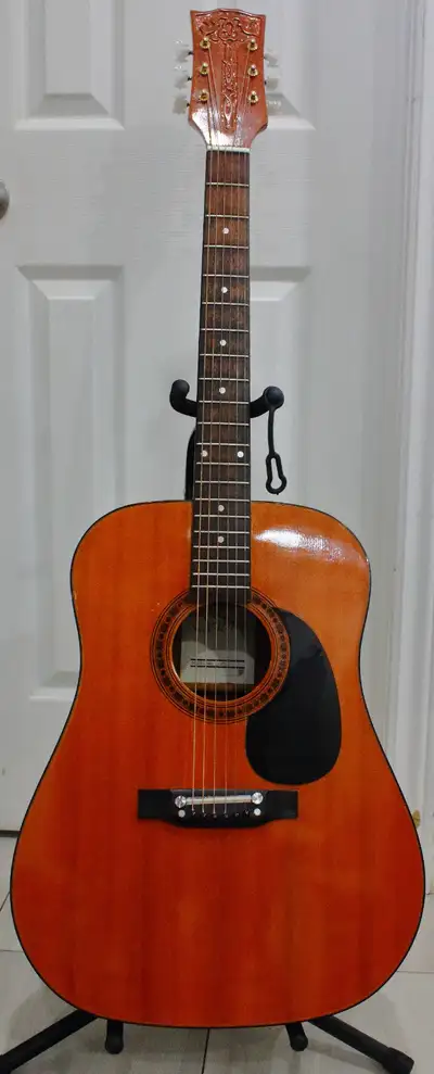 Vibra Acoustic Guitar, View more