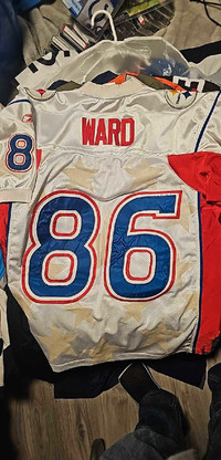 Hines Ward ProBowl Steelers Jersey large