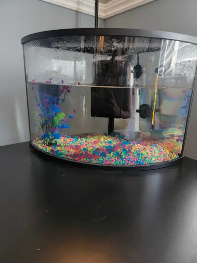 Any fish lovers out there: 6 gallon tank starter kit: with new filter (extra filter included) water...