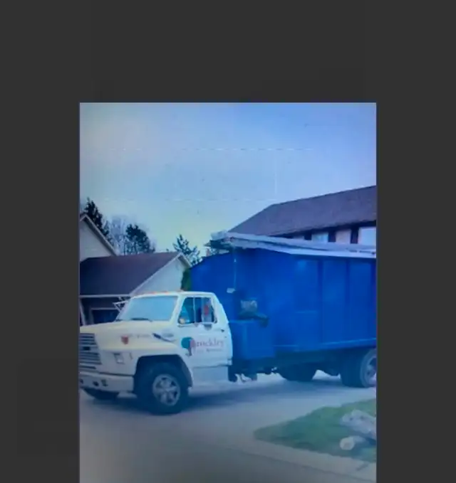 Tree service
