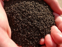 Worm castings - The best organic fertilizer on earth •