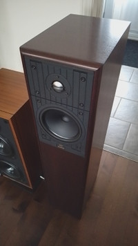 Celestion 300, Floor speaker