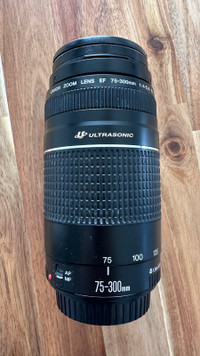 Objectif Canon Ultra sonic 75-300 mm