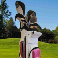 Nancy Lopez RH Golf Set