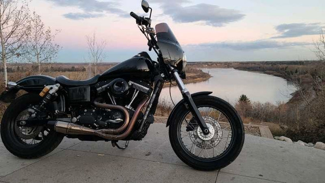 2015 Street bob in Street, Cruisers & Choppers in Calgary