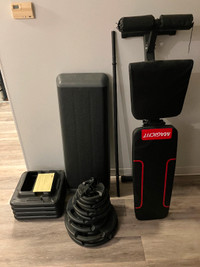 The Step Home Workout Bundle (GoodLife weights)
