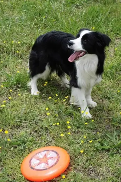 friendship, View more