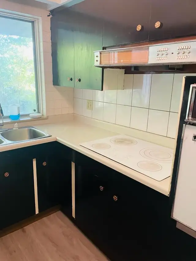 Room For Rent in North York in Room Rentals & Roommates in City of Toronto - Image 7