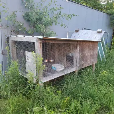 Chicken coop, View more