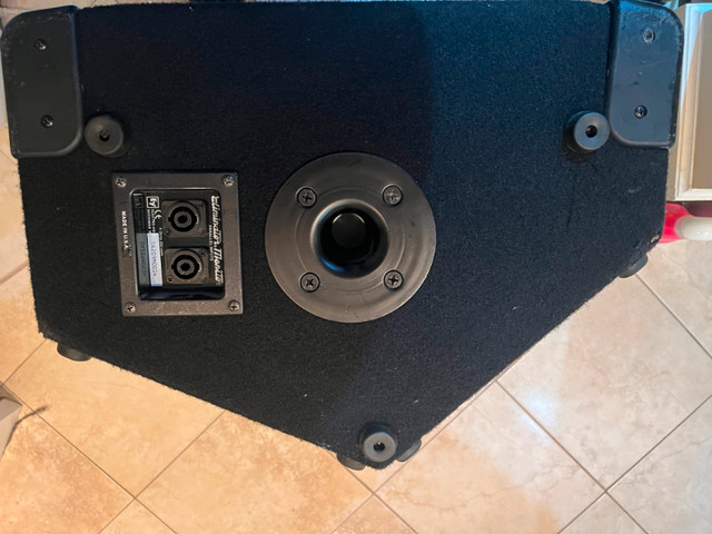 EV Eliminator PA Speakers/Monitors in Pro Audio & Recording Equipment in City of Toronto - Image 2