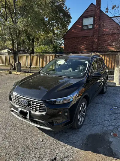 ️ Reliable Windsor–Toronto rides every day, pickup options, View more
