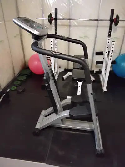 Simple piston and valve type stair stepper. The mechanics are fully functional but the electronic tr...